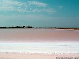 SALINS DU MIDI Immagine 335